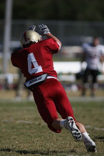 半岛官网入口-全国青少年跳水大赛首次启用AI裁判辅助，青少年跳水比赛视频  第2张